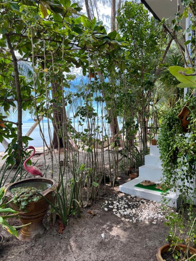 - Outdoor Net On The - Working Desk