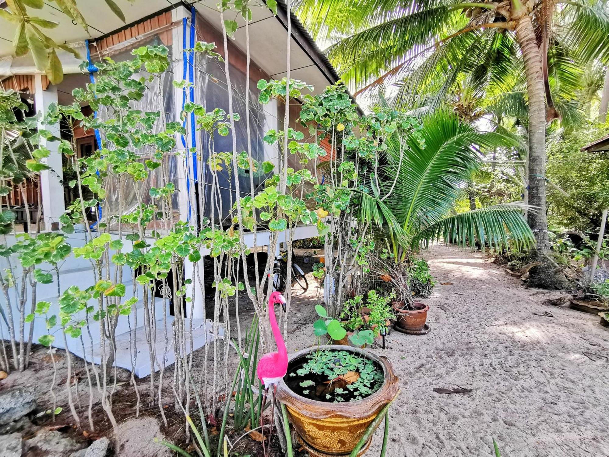 - Outdoor Net On The - Working Desk